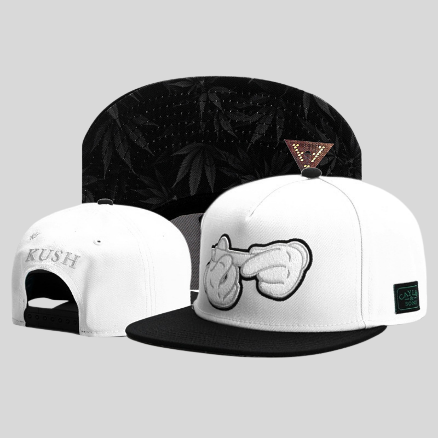 Snapback Cap - Cayler