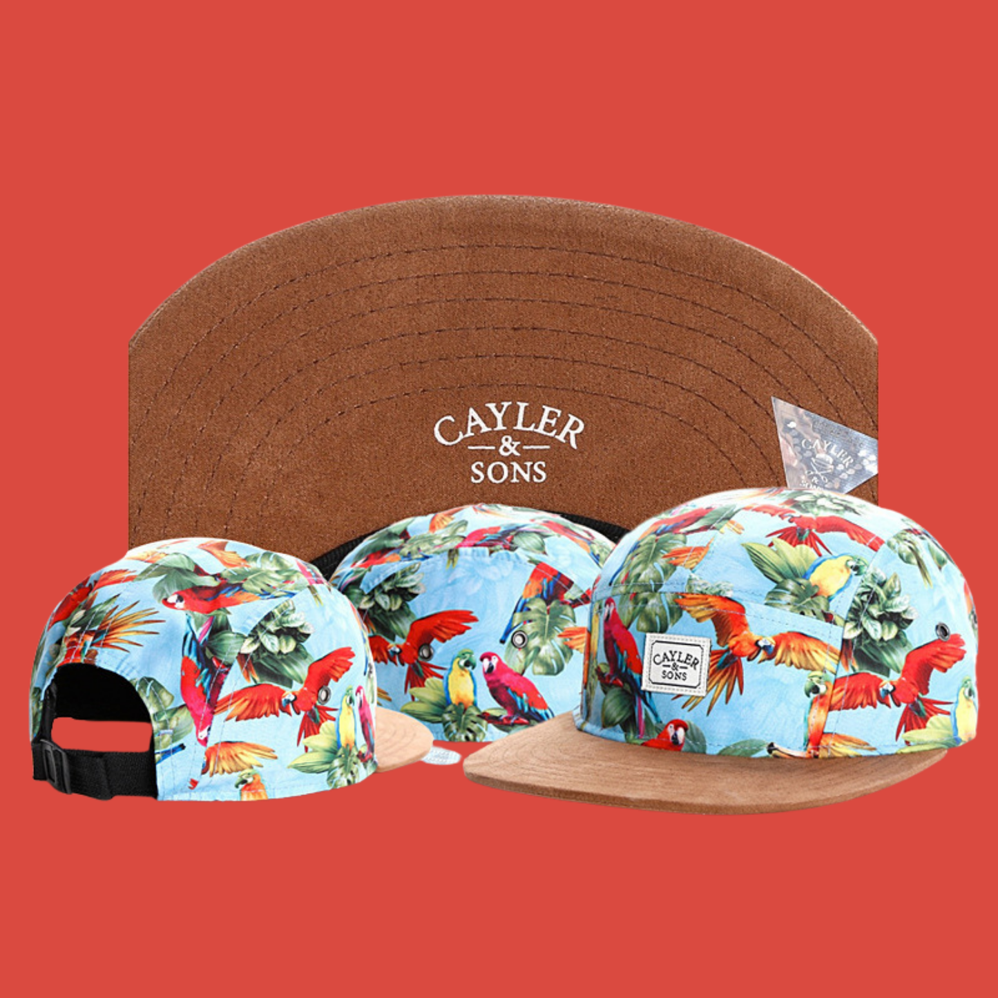 Snapback Cap - Cayler
