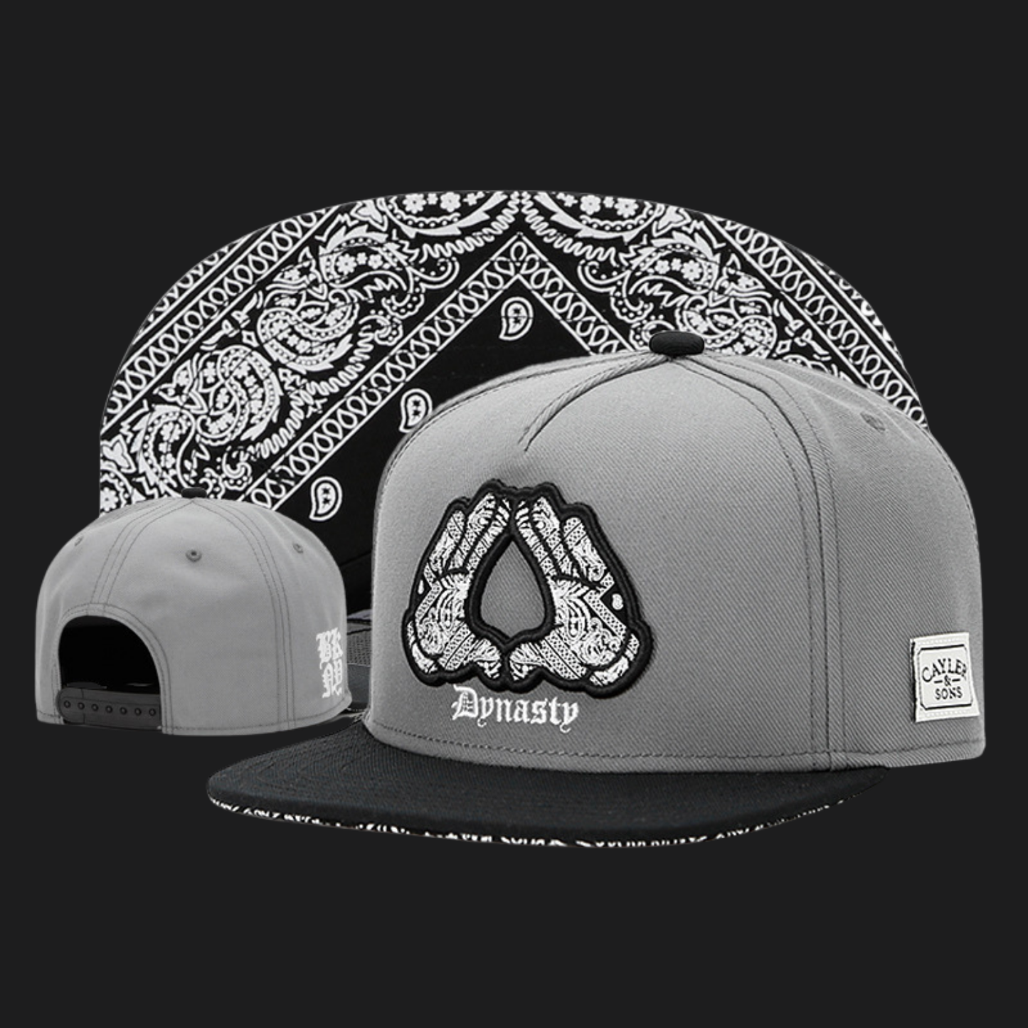 Snapback Cap - Cayler