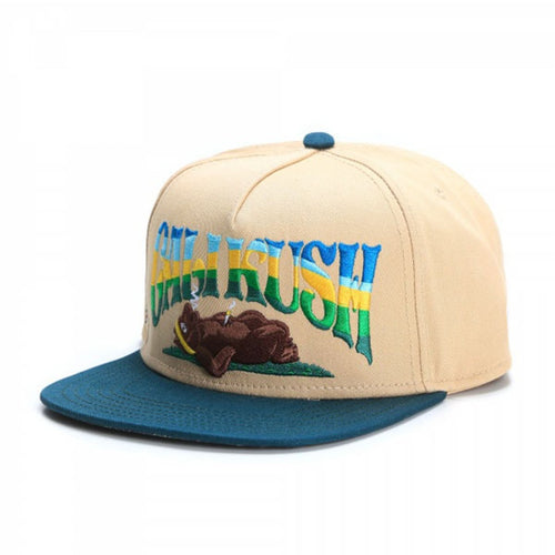 Snapback Cap - Hunter Bear