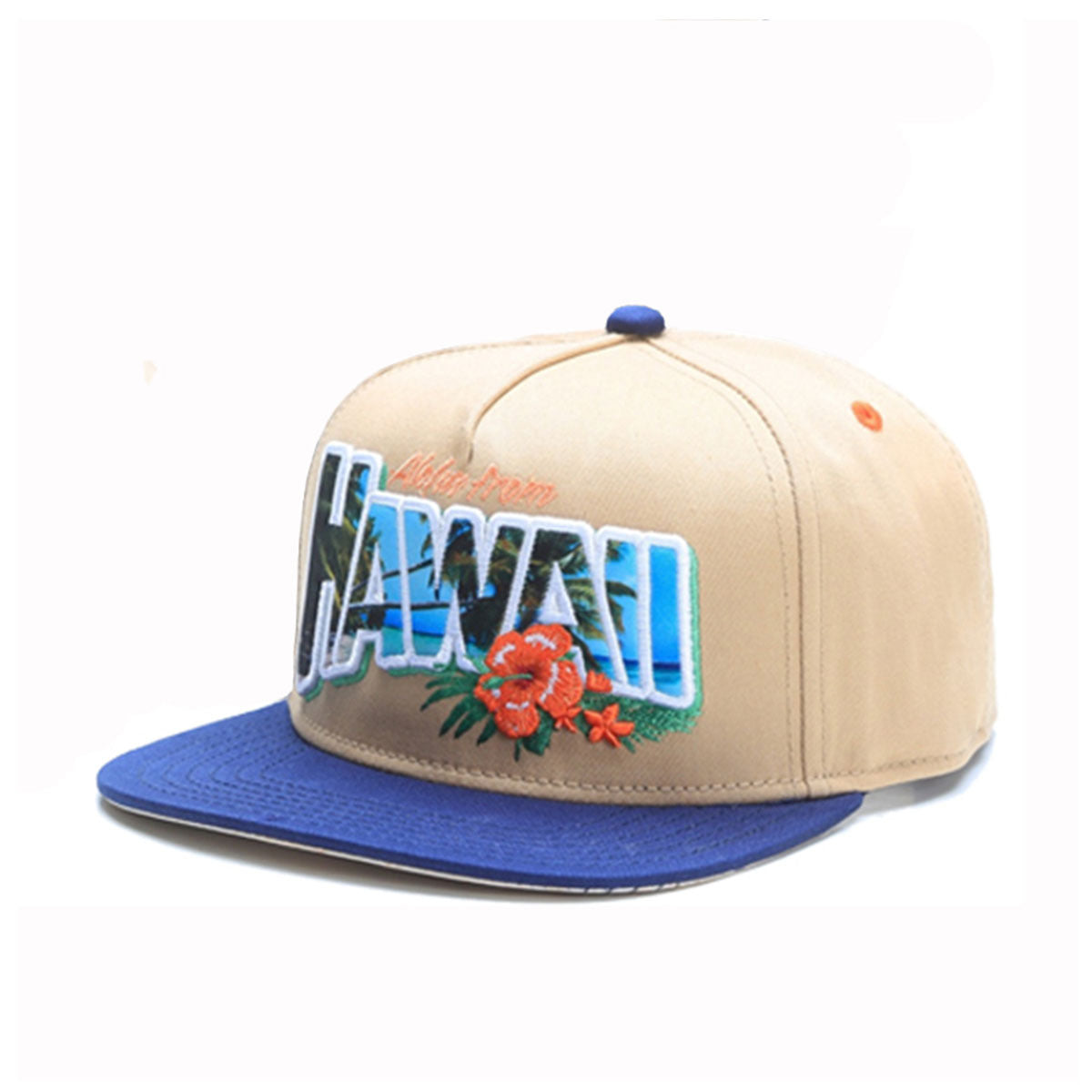 Snapback Cap - Old Hawaii